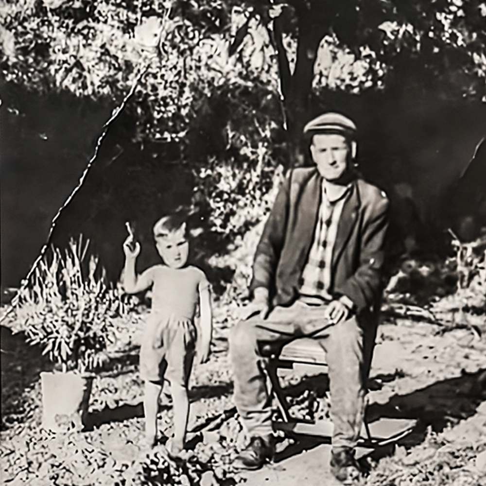 1966-2013 Memecik Zeytini